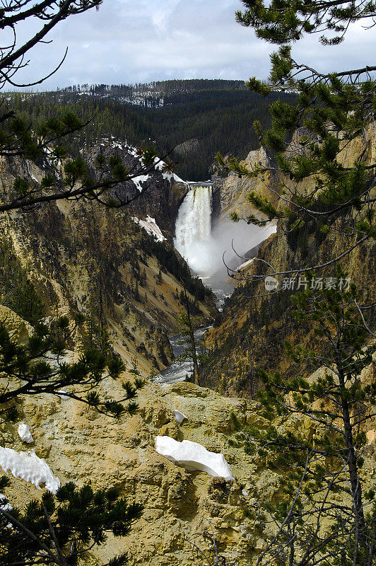 黄石国家公园艺术家Point Lower Falls Through the Trees